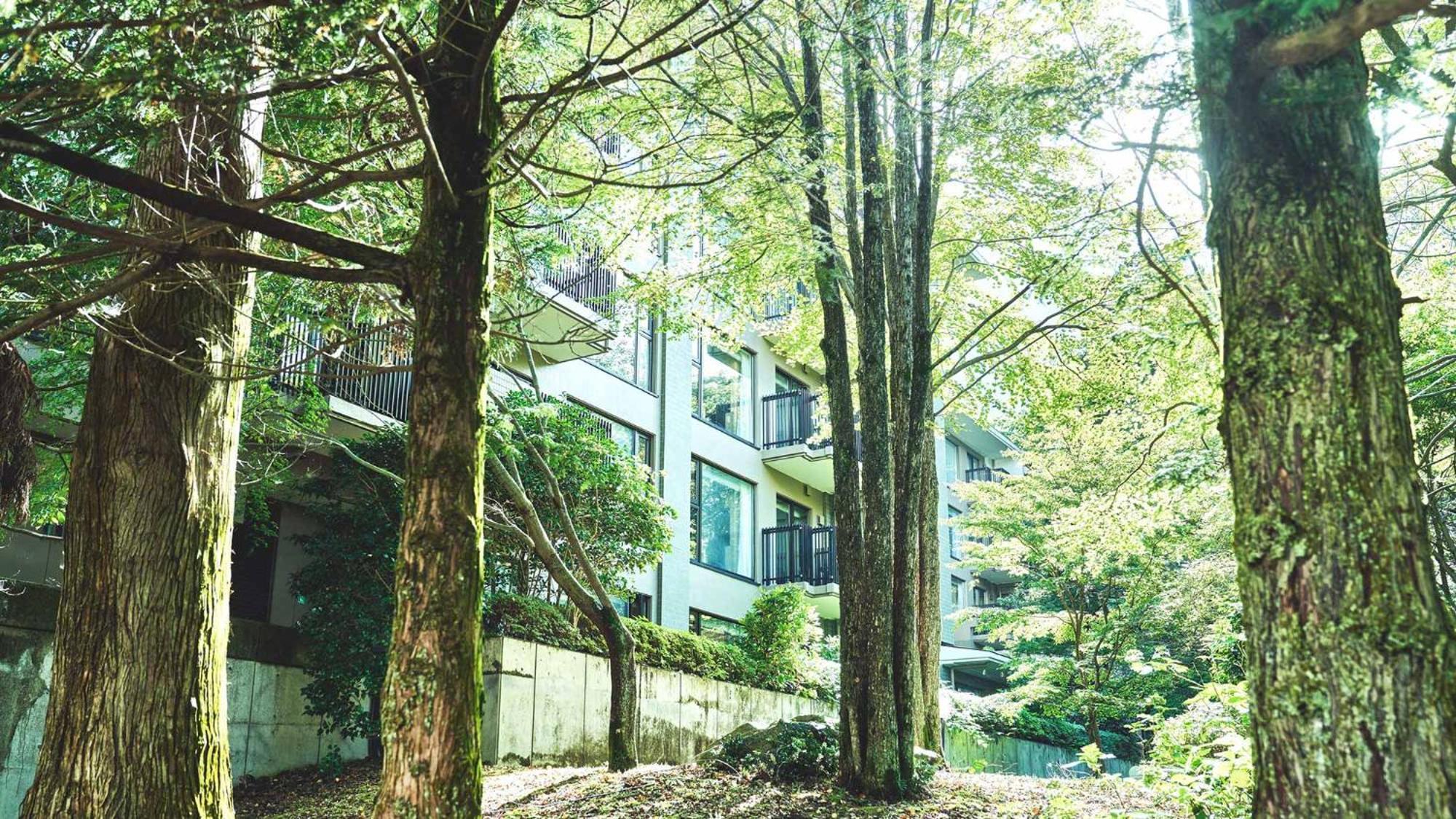 Готель Tokyu Vacations Hakone Gora Екстер'єр фото